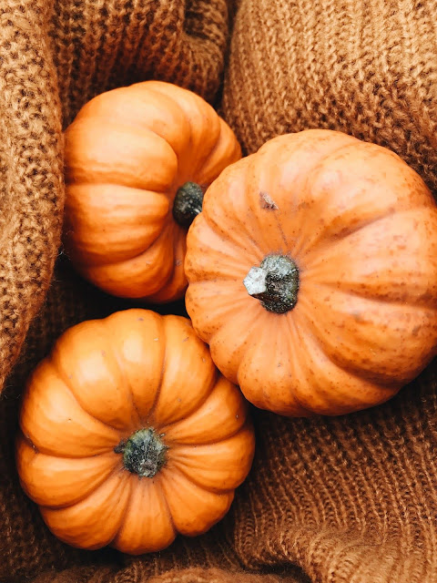 How to Paint a Pumpkin with Watercolors