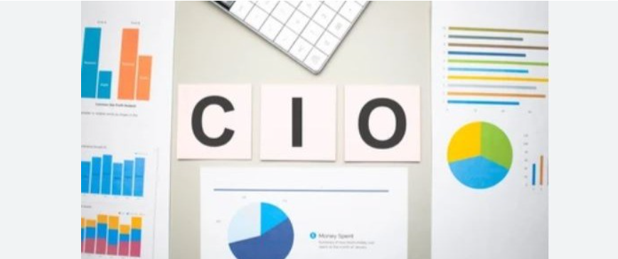 Challenges and Approaches for CIOs in the Digital Economy